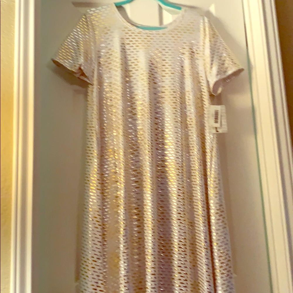 LuLaRoe Carly Dress